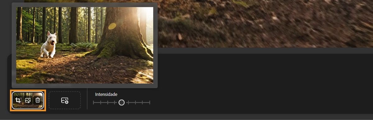 O menu Primeiro quadro mostra uma imagem adicionada com uma sobreposição de três ícones: cortar, editar e remover.
