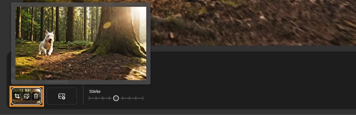 Das Menü „Erster Frame" zeigt ein hinzugefügtes Bild mit einem Overlay aus drei Symbolen: Zuschneiden, Bearbeiten und Entfernen.