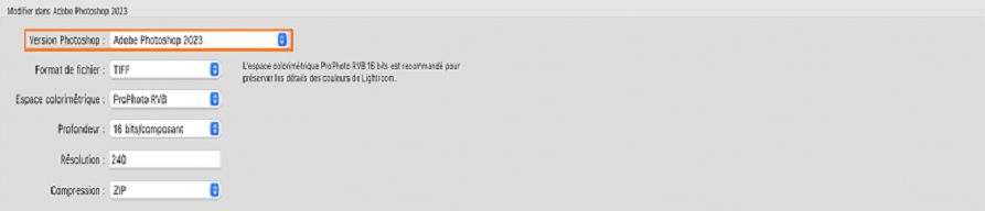 Capture d’écran de la version de Photoshop illustrant la fonctionnalité de retouche.