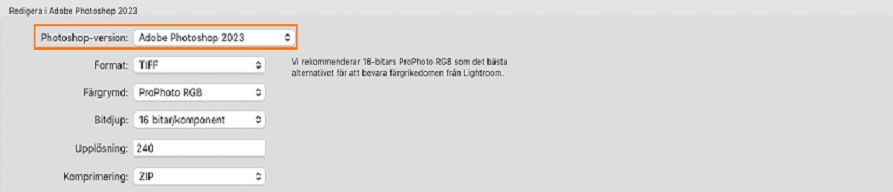 Skärmbild som markerar markeringsfönstret i Photoshop-versionen för funktionen Redigera i Photoshop.