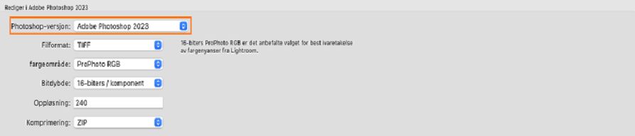 Skjermbilde som viser valgvinduet for Photoshop-versjon for funksjonen for redigering i Photoshop.