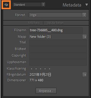 Metadata med Endast redigering 