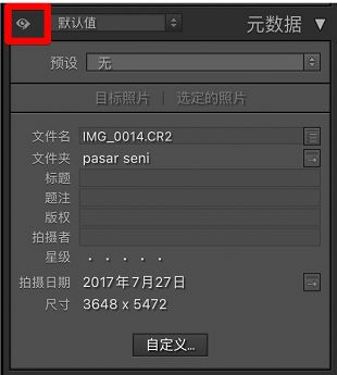 “仅编辑”元数据 