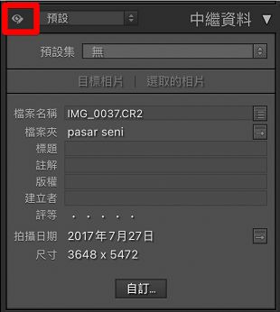 僅限編輯中繼資料 