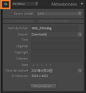 Métadonnées à modifier uniquement 