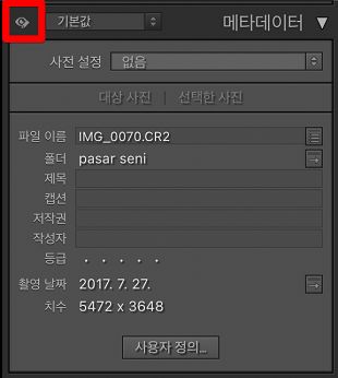 편집 전용 메타데이터 
