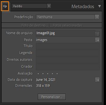 Metadados somente para edição 