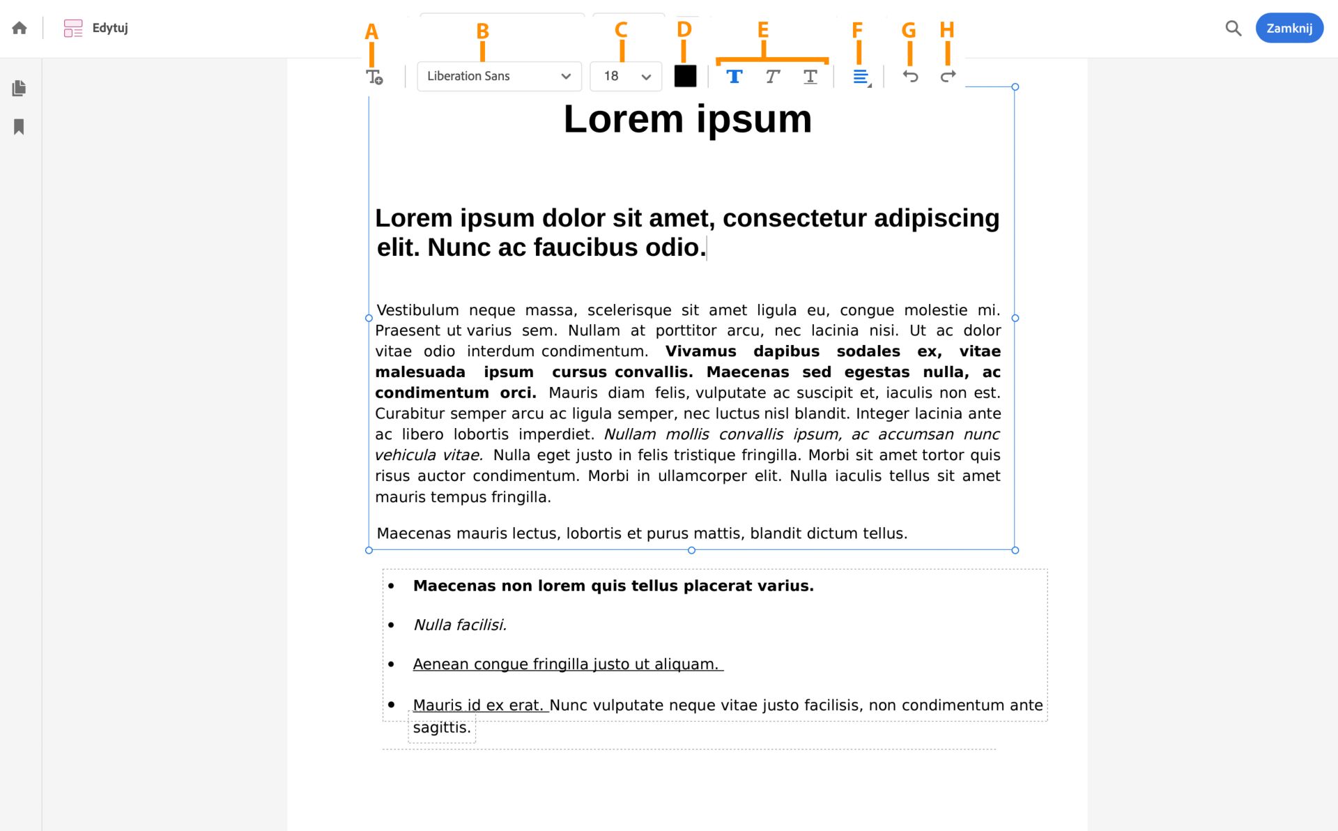 Opcje edycji tekstu