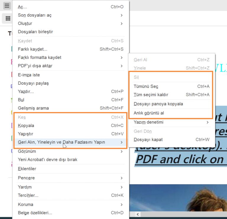 Metin seçtiğinizde düzenleme seçenekleri