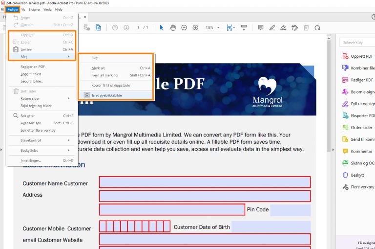 Redigere alternativer når du velger tekst