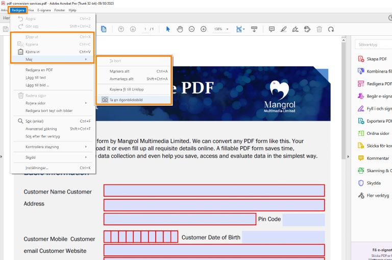 Redigeringsalternativ när du markerar text