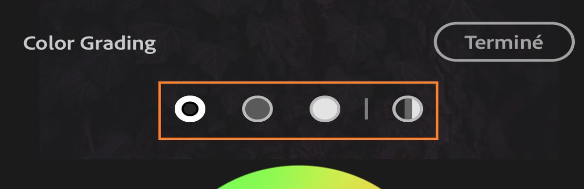 Curseurs Color Grading. Appuyez sur les icônes de la section en surbrillance pour afficher respectivement les curseurs Ombres, Tons moyens, Hautes lumières et Global.