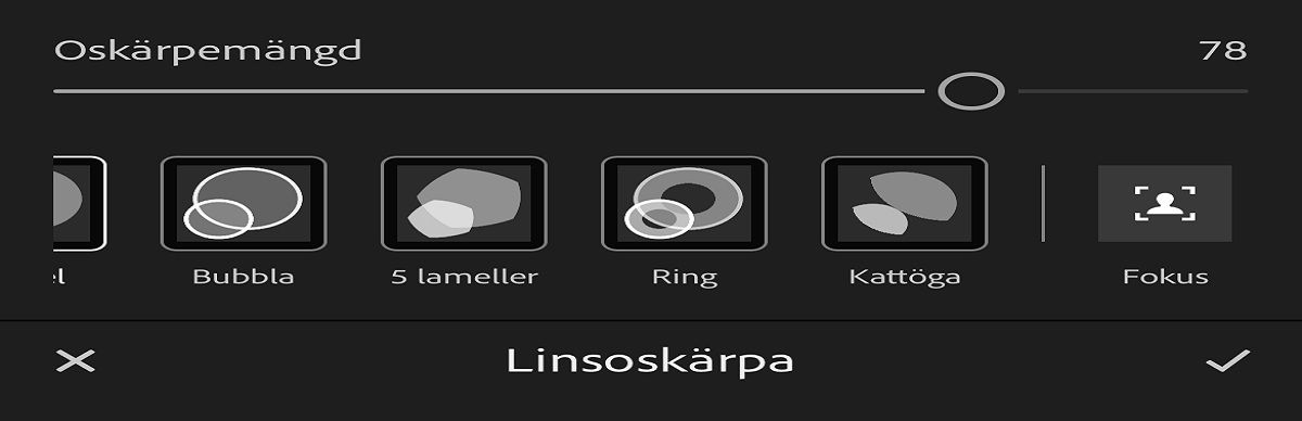 skärmbild av panelen linsoskärpa