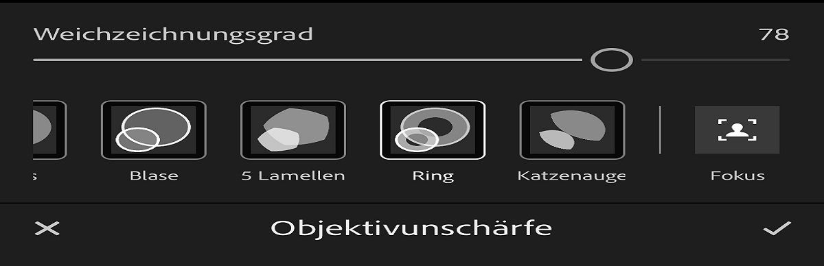 Screenshot des Bedienfelds „Objektivunschärfe“