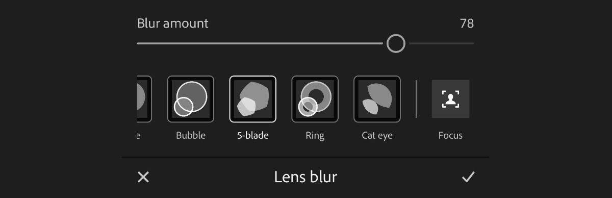 screenshot of lens blur panel