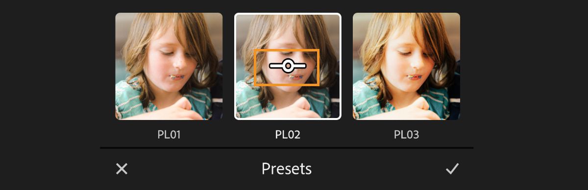Screenshot of preset panel amount slider intensity