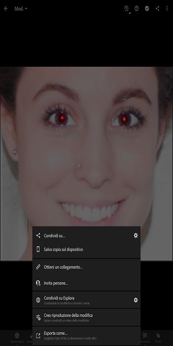 opzione Crea ripetizione della modifica nella schermata Condividi di Lightroom per dispositivi mobili