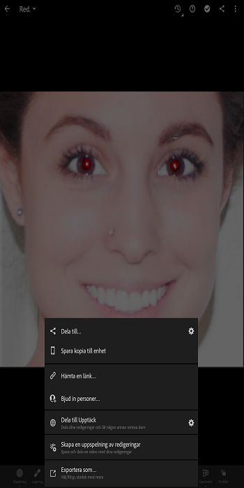 alternativet skapa en uppspelning av dina redigeringar på delningsskärmen i Lightroom för mobila enheter