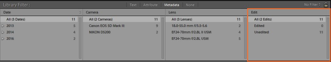 Ny metadatakategori i biblioteksfilter-linjen