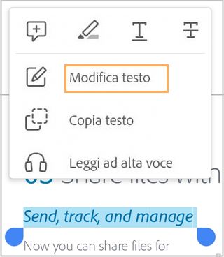 edit-text-context-menu
