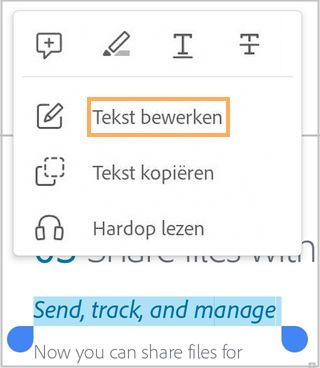 edit-text-context-menu