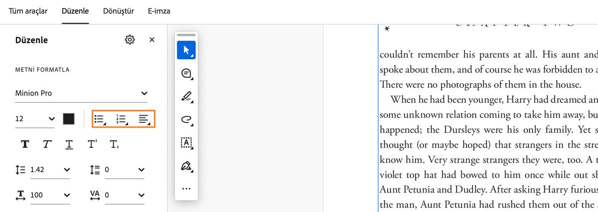 Formatlama seçenekleri