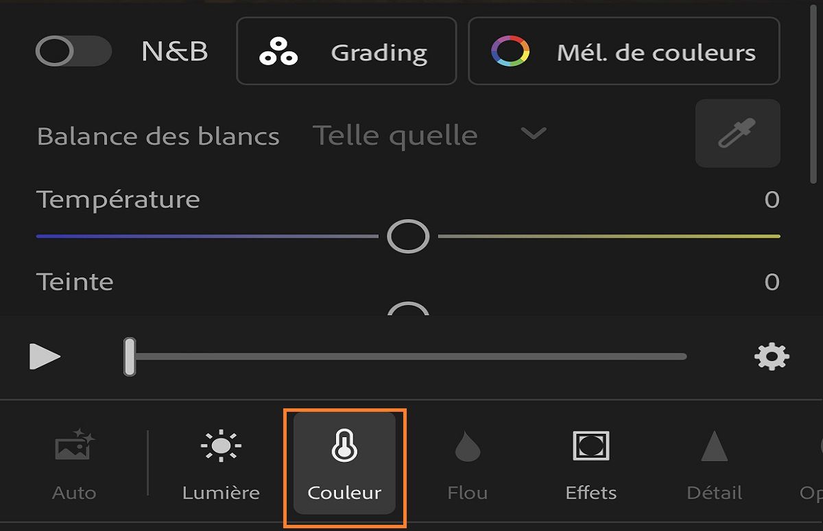 capture d’écran du panneau Couleur pour le montage vidéo