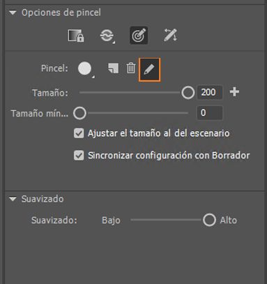 Editar pincel personalizado