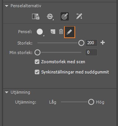 Redigera anpassad pensel