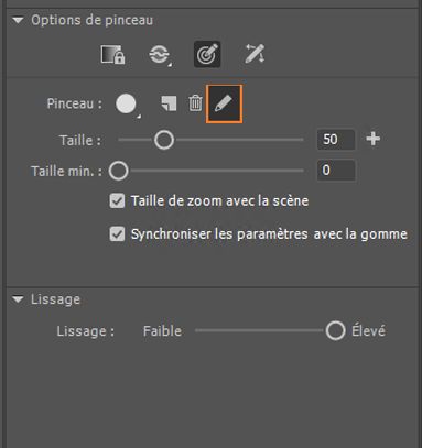 Modification du pinceau personnalisé