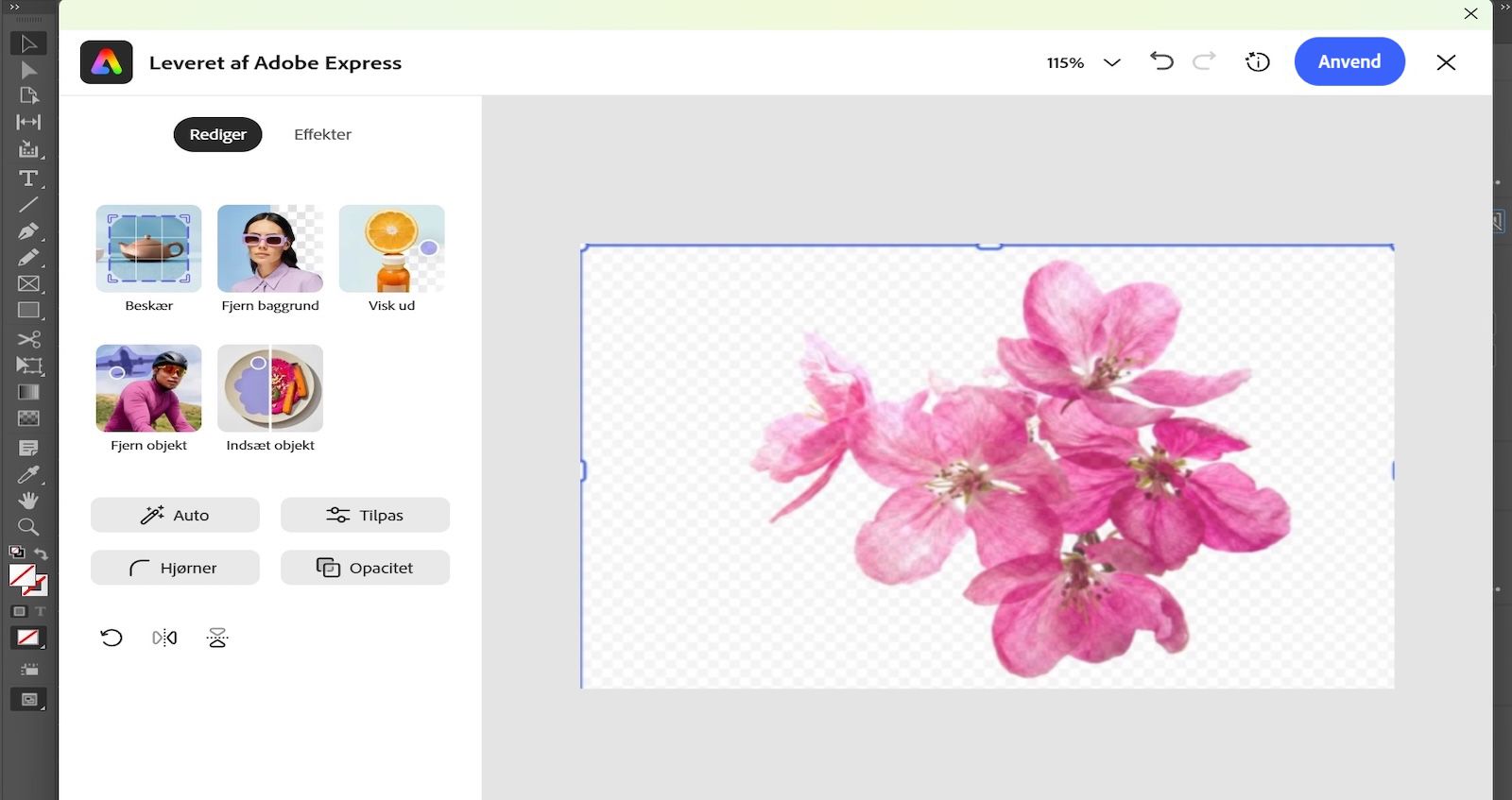 Adobe Express-redigeringspanelet er åbent og viser værktøjer som Beskær, Fjern baggrund og Juster med et blomsterbillede valgt.