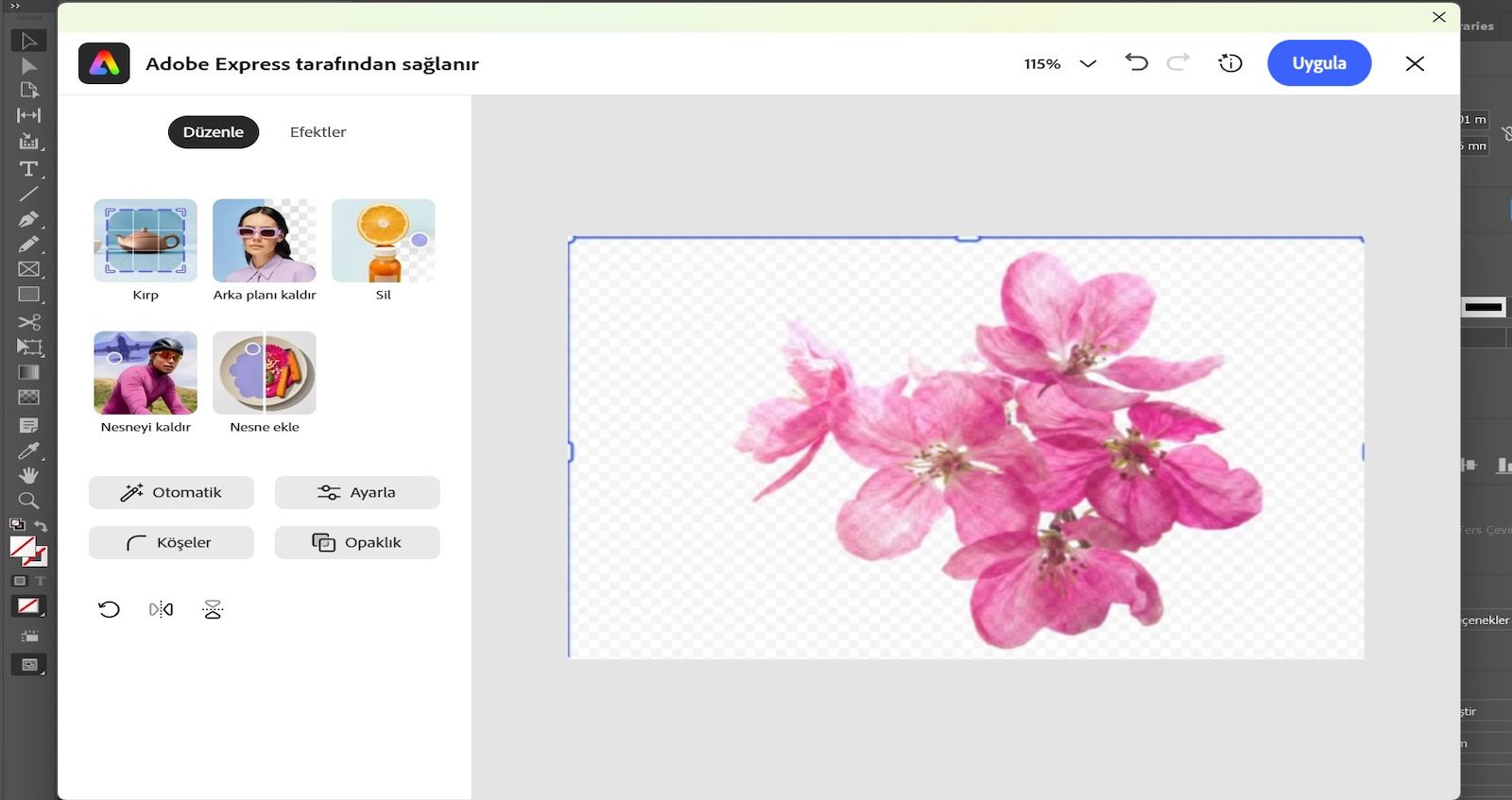 Adobe Express düzenleme paneli açık ve seçili çiçek görseli ile Kırp, Arka Planı Kaldır ve Ayarla gibi araçları gösteriyor.