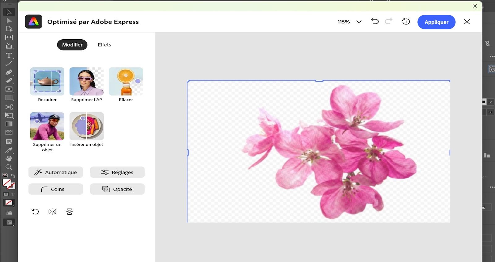 Le panneau de retouche Adobe Express est ouvert et affiche des outils comme Recadrer, Supprimer l’arrière-plan et Réglages, avec l’image d’une fleur sélectionnée.
