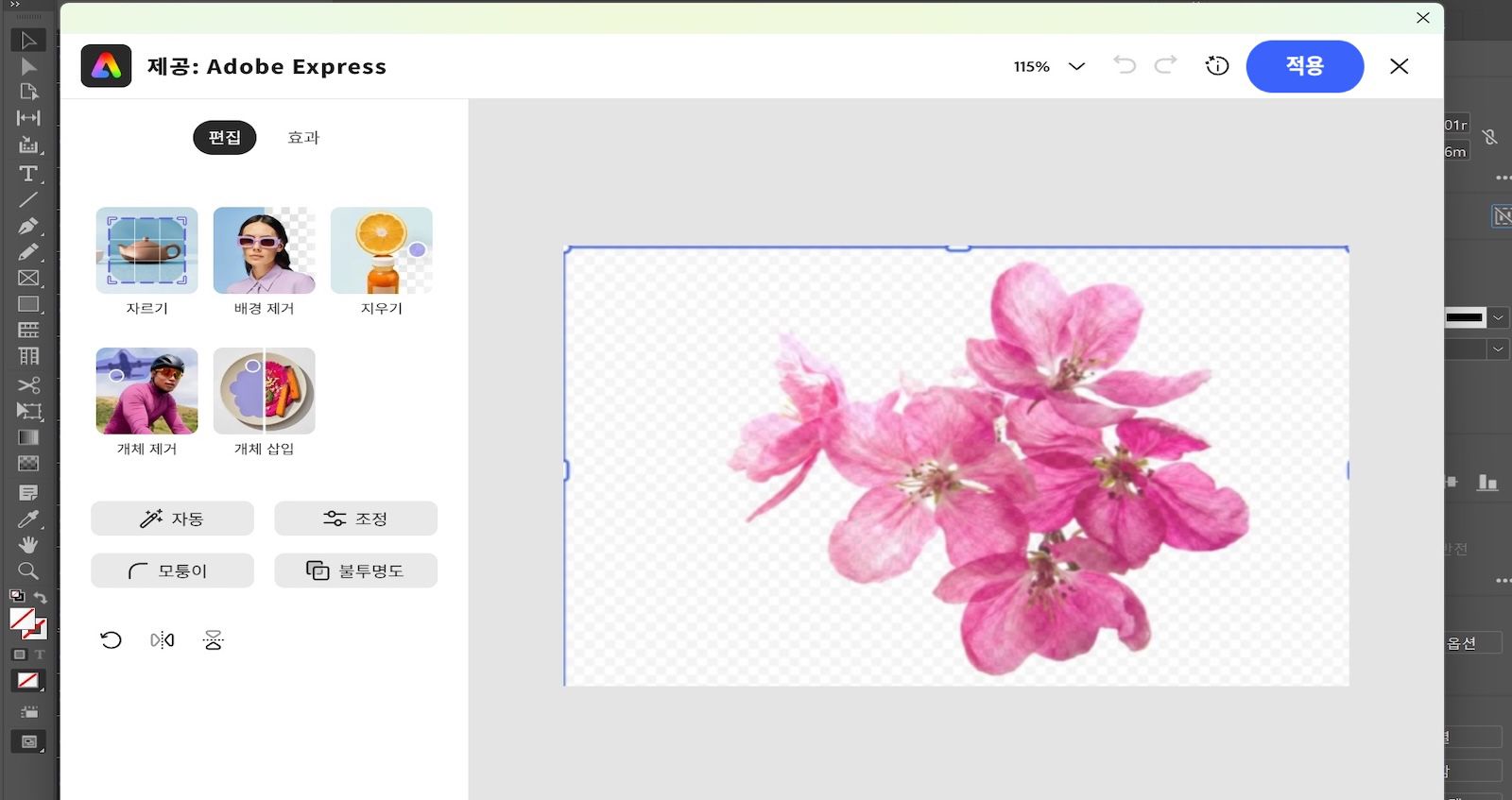 Adobe Express 편집 패널이 열려 있고 자르기, 배경 제거, 조정과 같은 도구를 꽃 이미지가 선택된 상태로 보여줍니다.