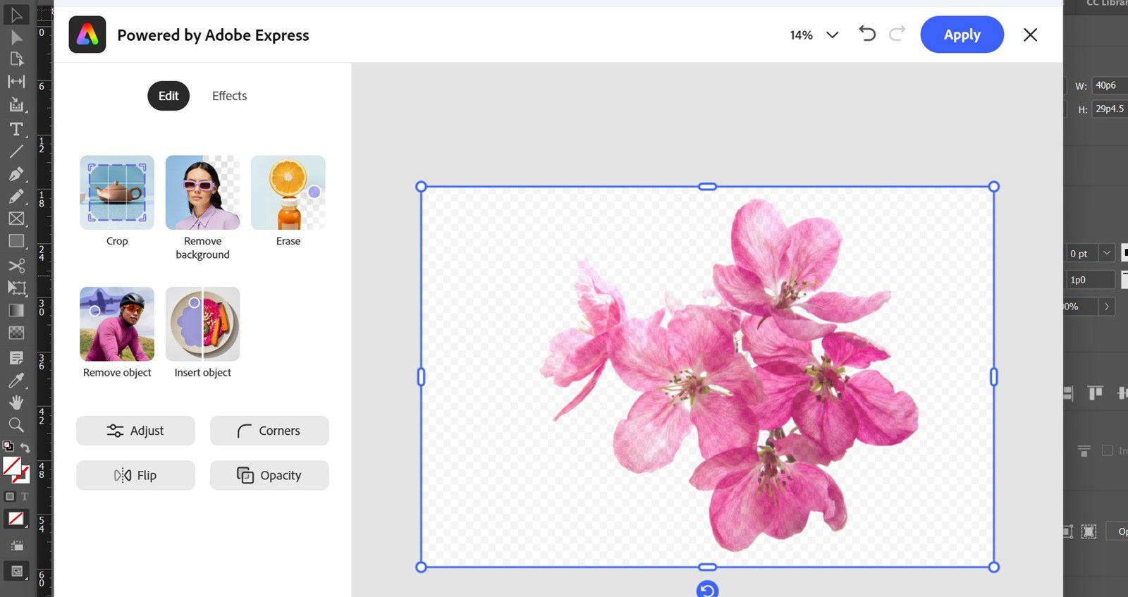 Az Adobe Express szerkesztőpanel nyitva van, és olyan eszközöket mutat, mint a Vágás, a Háttér eltávolítása és a Beállítás egy kiválasztott virágképpel.
