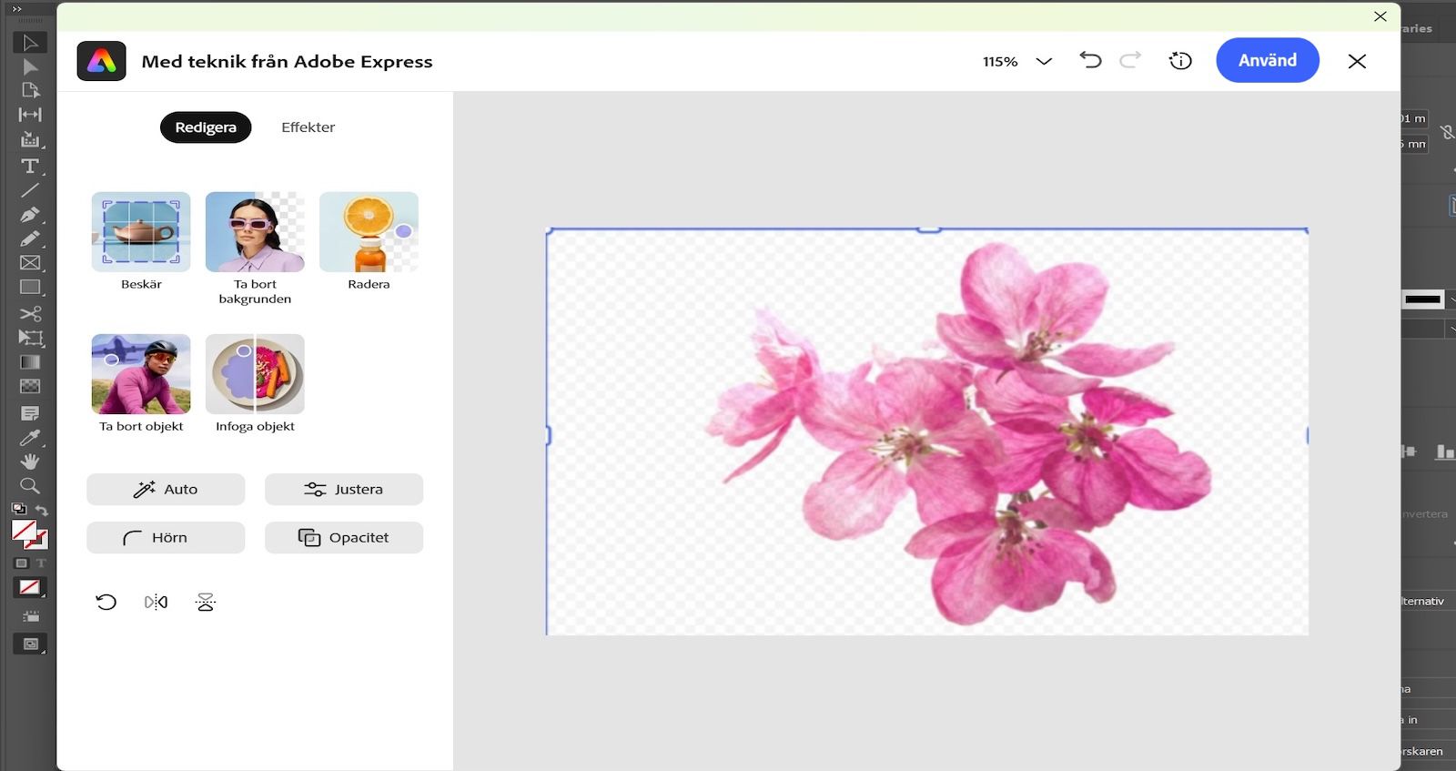 Adobe Express redigeringspanel är öppen och visar verktyg som Beskär, Ta bort bakgrund och Justera med en blombild vald.