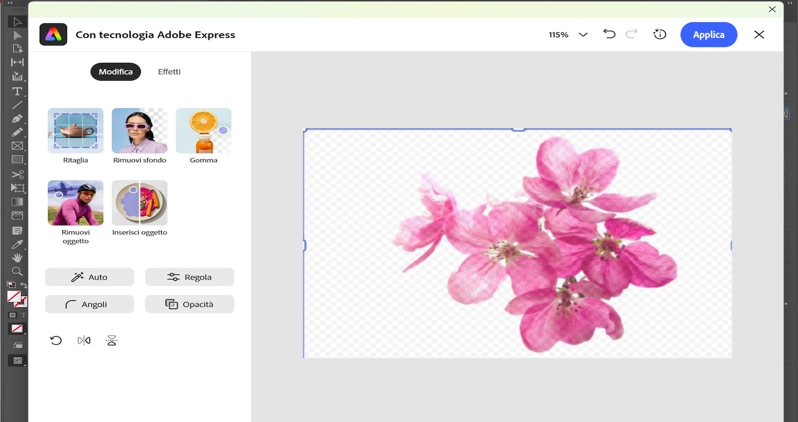 Il pannello di modifica di Adobe Express è aperto e mostra strumenti come Ritaglio, Rimuovi sfondo e Regola con un'immagine di un fiore selezionata.