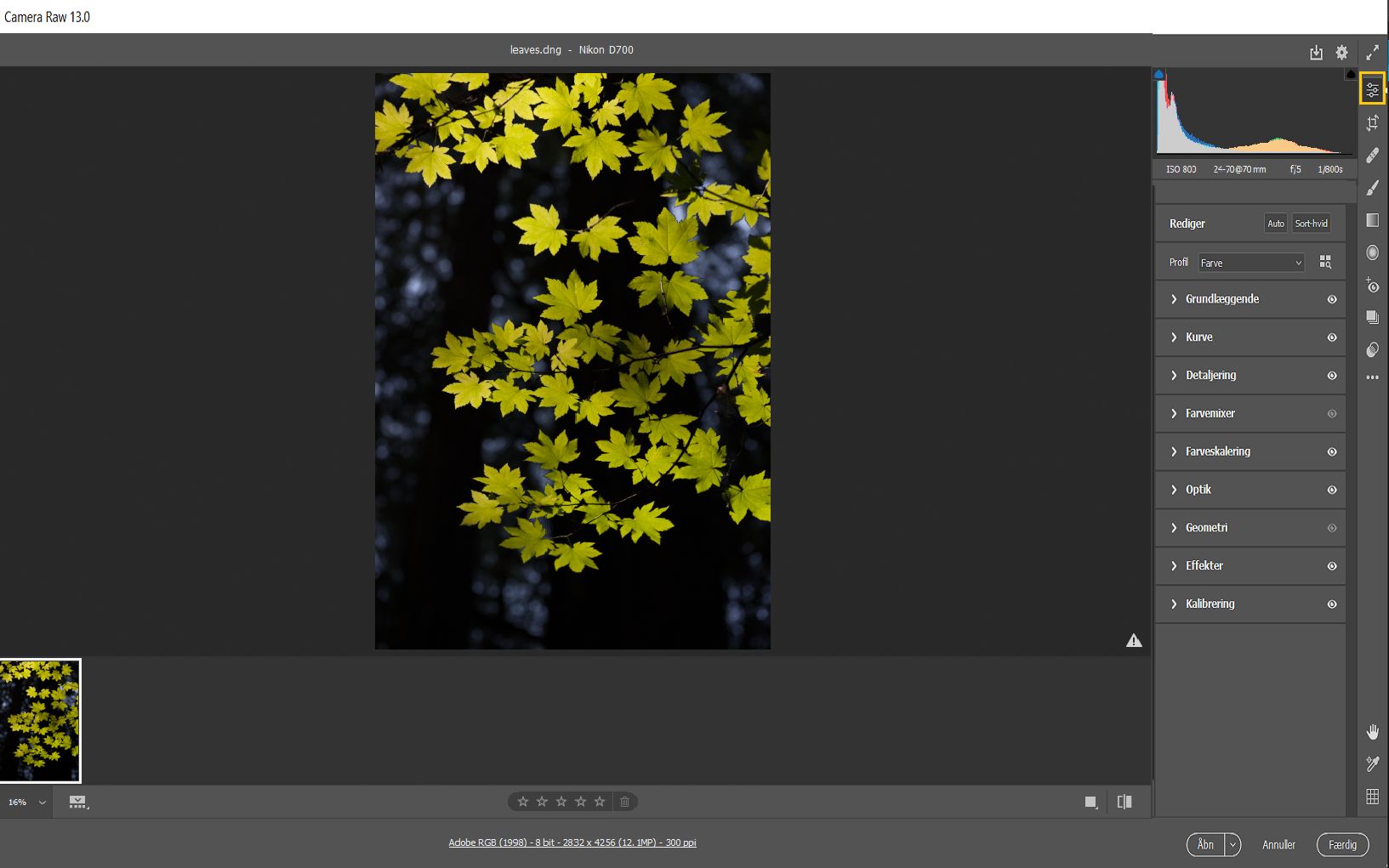 Camera Raw-panelet Rediger i Photoshop