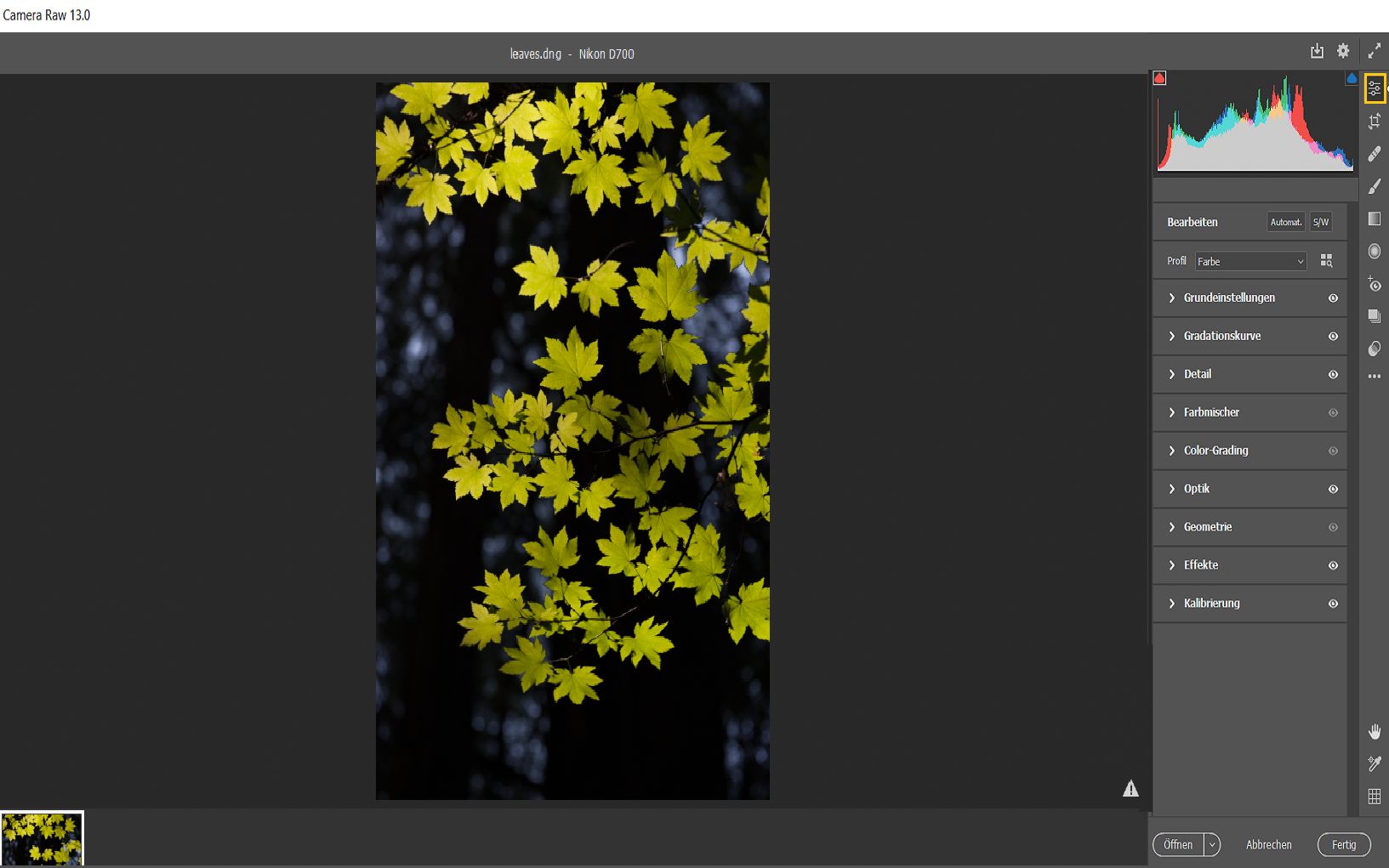 Das Bearbeiten-Bedienfeld von Camera Raw in Photoshop