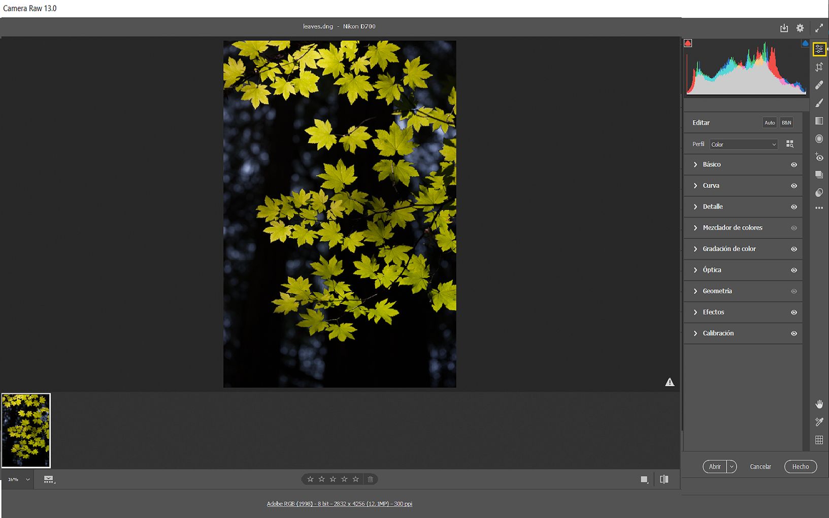 El panel Editar en Camera Raw