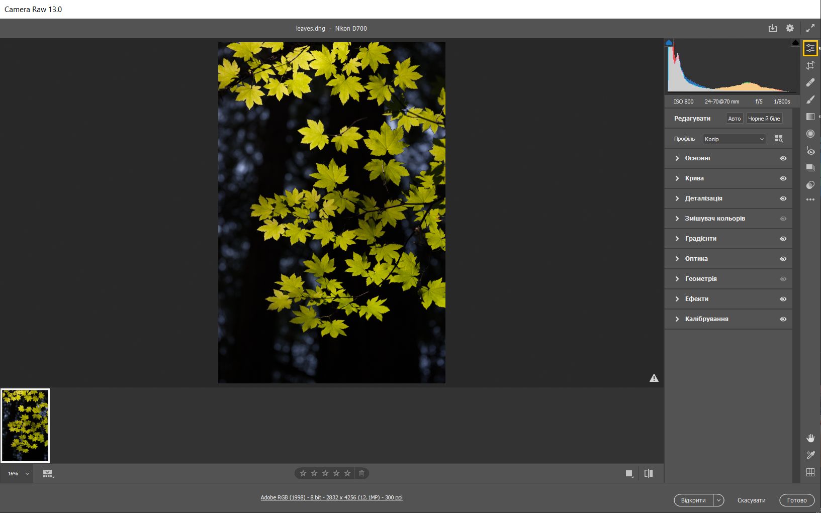 Панель Camera Raw «Редагування» у Photoshop