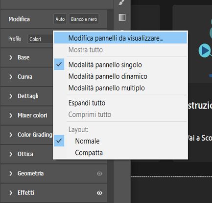 Menu di scelta rapida del pannello Modifica 