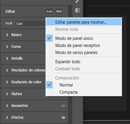 El menú contextual del panel Editar 