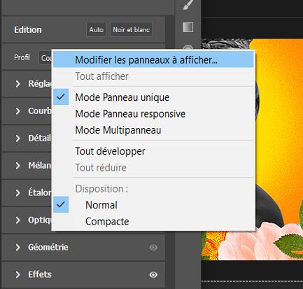 Menu contextuel du panneau Modifier 