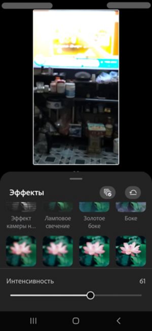 Эффект легкого дрожания выбран в панели «Эффекты» с ползунком «Интенсивность», установленным на 50.