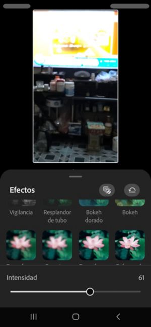 Efecto de sacudida suave seleccionado en el panel Efectos, con el regulador de Intensidad establecido en 50.