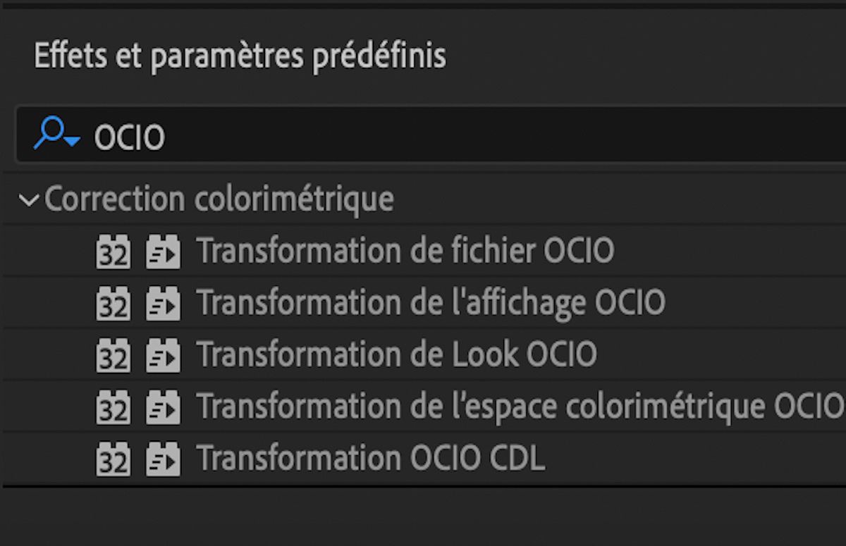 Effets OpenColorIO dans la catégorie Correction colorimétrique du panneau Effets et paramètres prédéfinis.