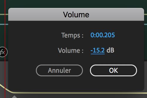 Saisir les valeurs du paramètre