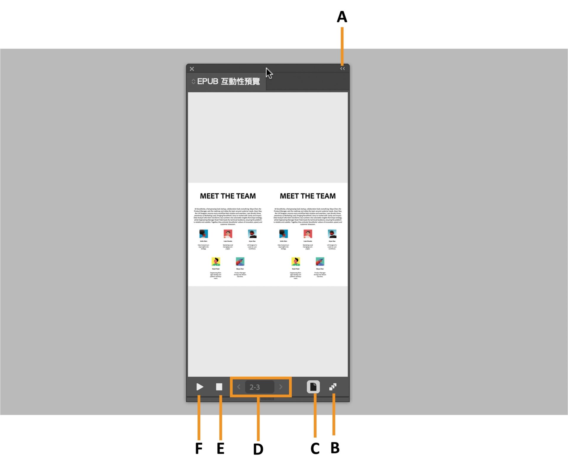 「EPUB 預覽」面板，其中強調顯示各種選項