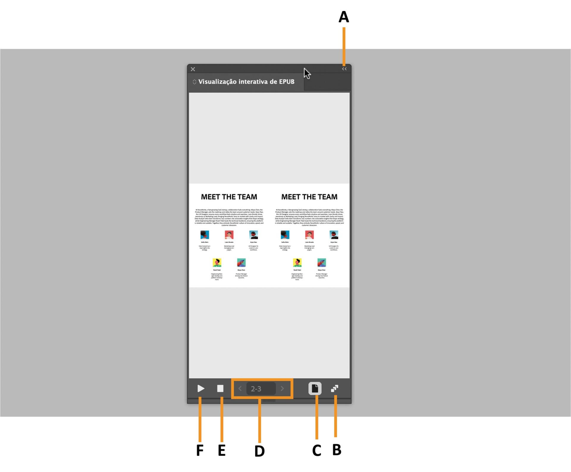Painel de pré-visualização de EPUB destacando várias opções